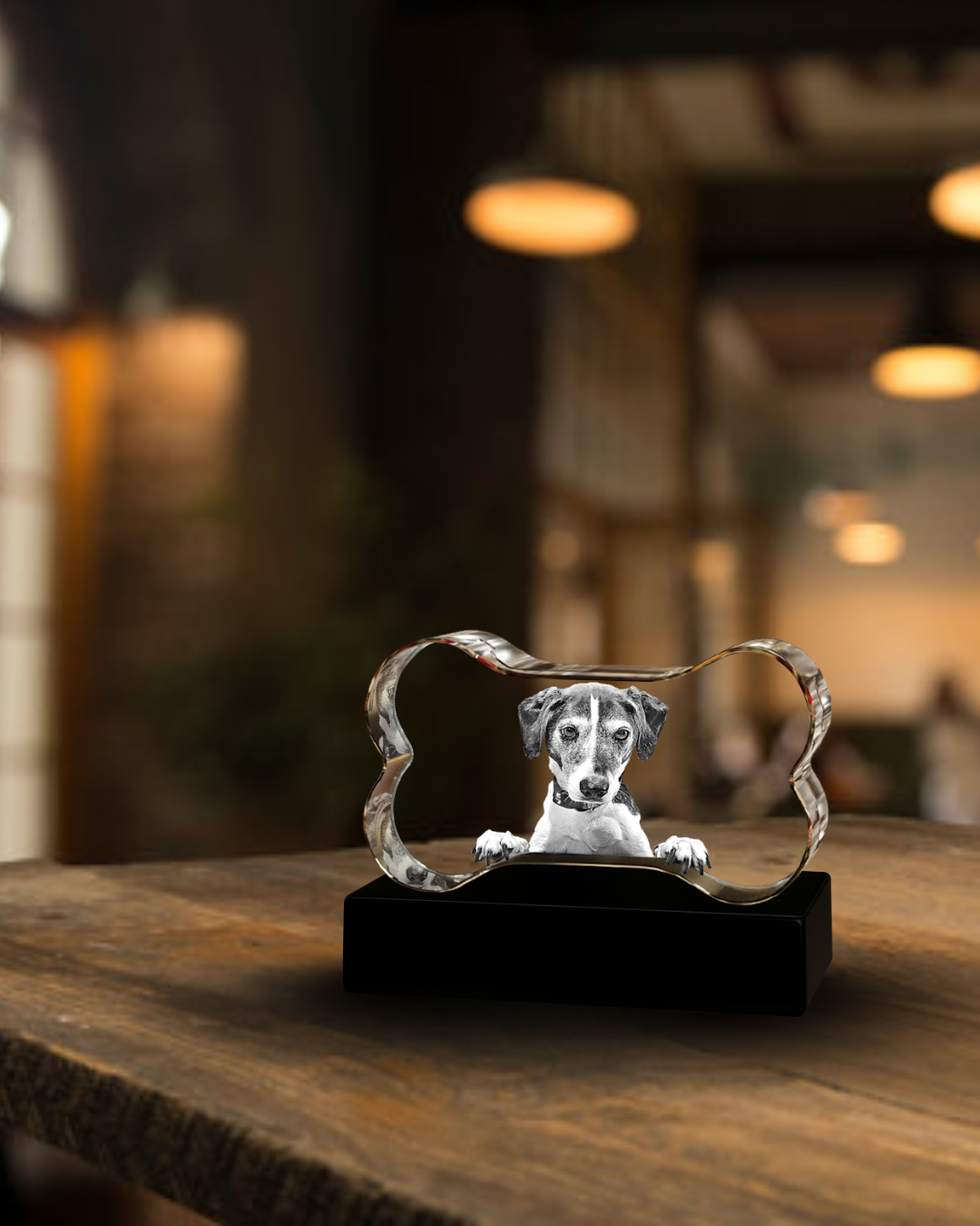 3D Bone Shape Pet Crystal | A Personalised Gift for Pet Lovers