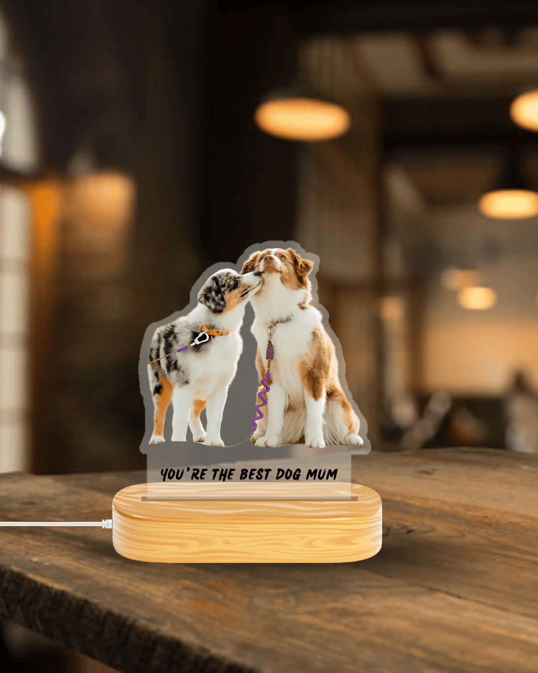 Custom Cutout Plaque with Light Base | Personalised Engraved LED Plaques UK