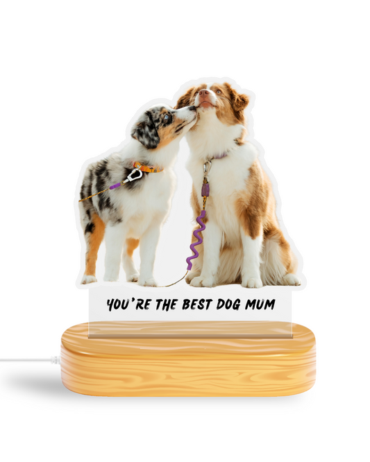 Custom Cutout Plaque with Lightbase